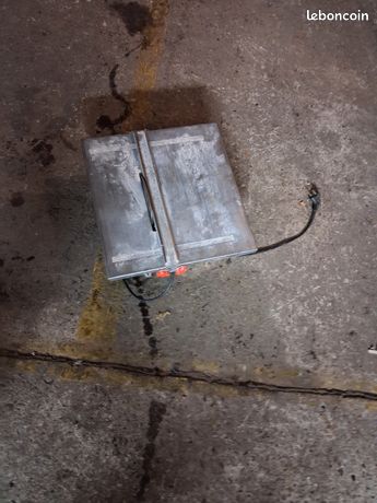 Carlette électrique