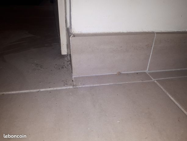 Carrelage eiffel greige