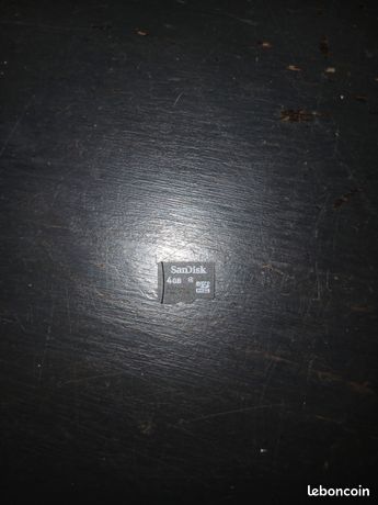 Carte Micro SD