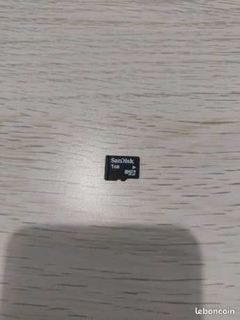 Carte Micro SD SanDisk 1Go