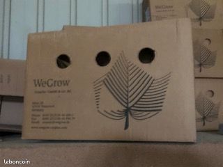 Cartons rangement ou déménagement