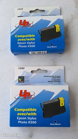 Cartouches d'encre pour imprimante EPSON Stylus Photo R300 ou R300M ou RX500