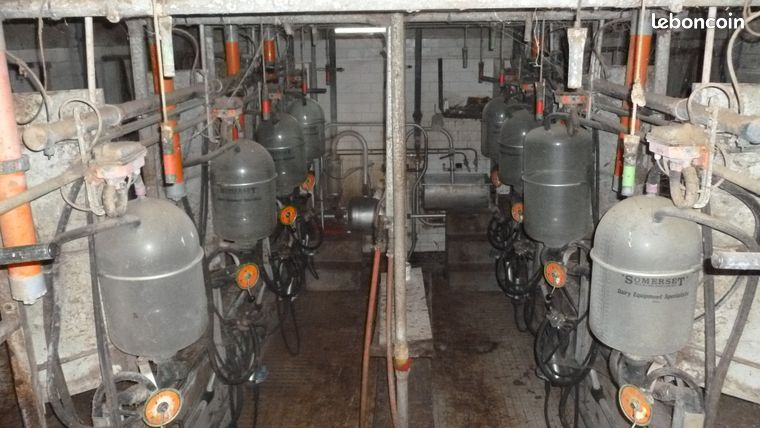 Cause cessation salle de traite 2x4 double équipem