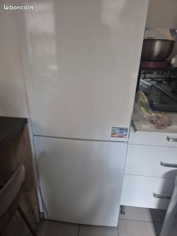 Cause demenagement fin novembre je vends grand frigo congélateur bon etat