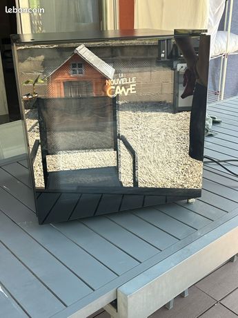 Cave à vin continental