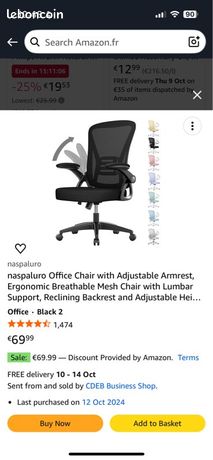 Chaise de bureau ergonomique Nasapuro