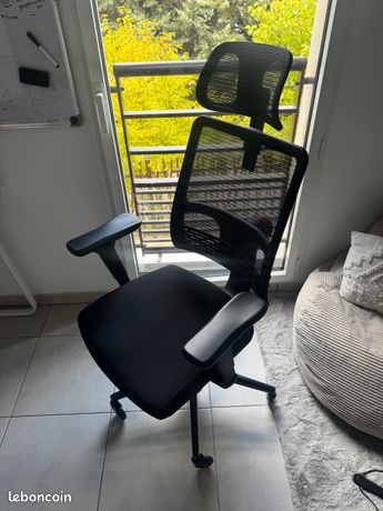Chaise Ergonomique