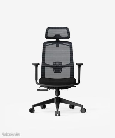 Chaise Ergonomique
