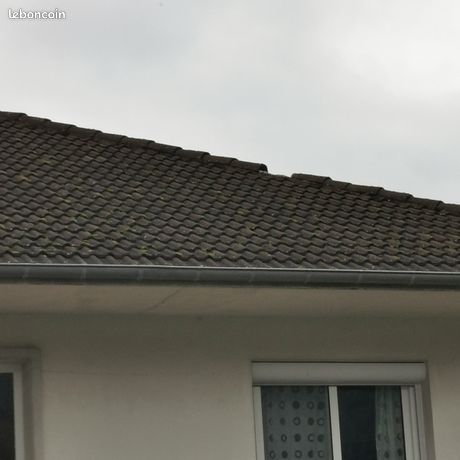 Cherche tuile manquante pour mon toit
