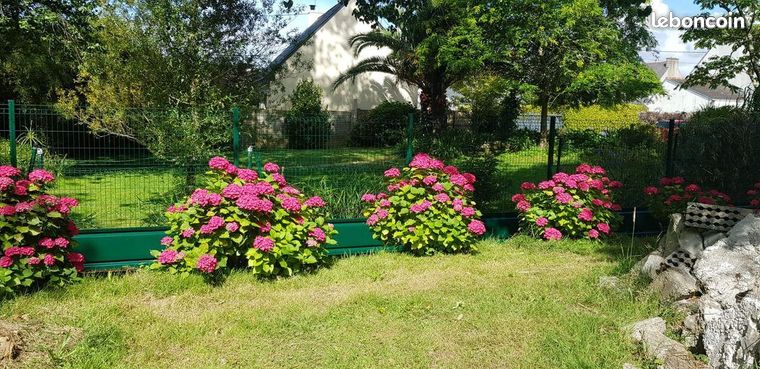 Cloture de jardin pas cher