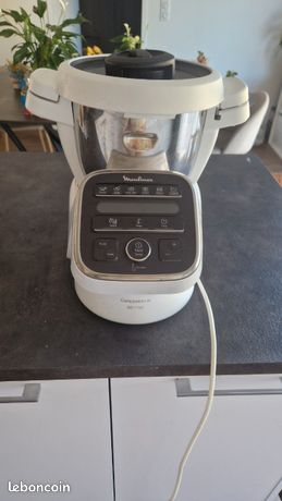 Compagnon Moulinex XL