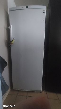 Congelateur 265l liebherr gn 2956