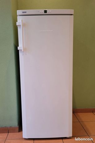Congélateur armoire liebherr
