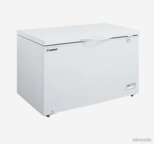 Congélateur Coffre-Bahut– 300 L – Puissant et Robuste pour les Pros