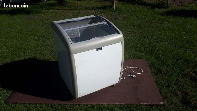 Congélateur conservateur FRIGELUXpour glaces a emporter