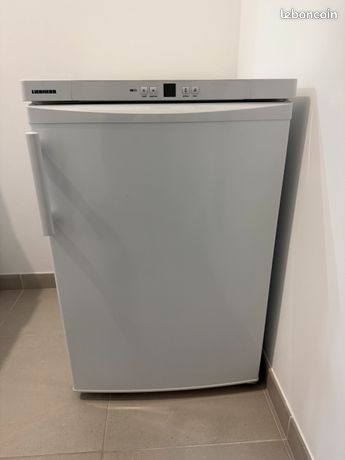 Congélateur Liebherr GP1376-21