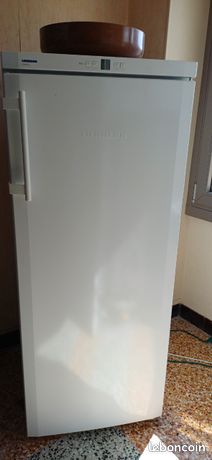 Congelateur armoire LIEBHERR