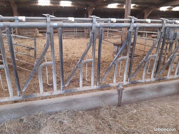 Cornadis et barre au garot