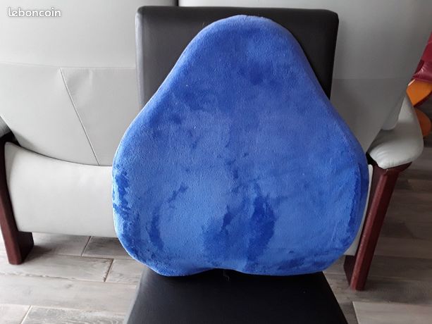 Coussin dorsal bleue