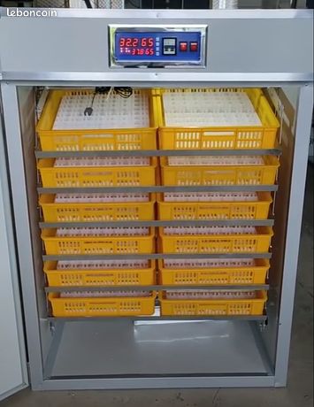 Couveuse automatique 528 oeufs