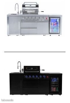 Cuisine d'extèrieur inox 304 alimentaire /four a pizza bois charbon