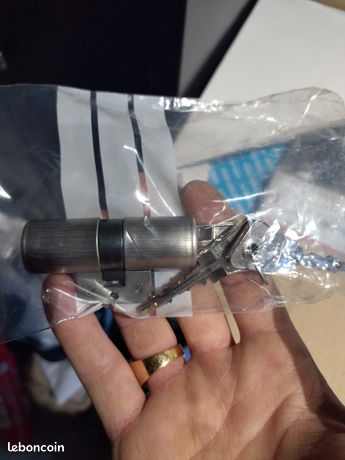 Cylindre bricard profil suisse 3 clés panneton din court