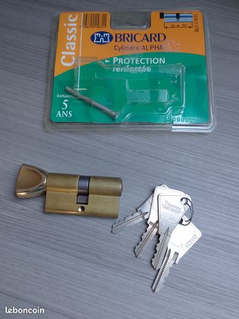 Cylindre de serrure BRICARD Alpha 4 clés