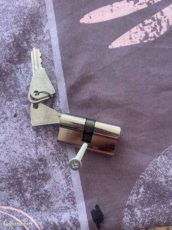 Cylindre vachette européen