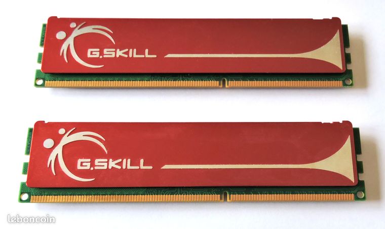 Deux barrettes de mémoire RAM