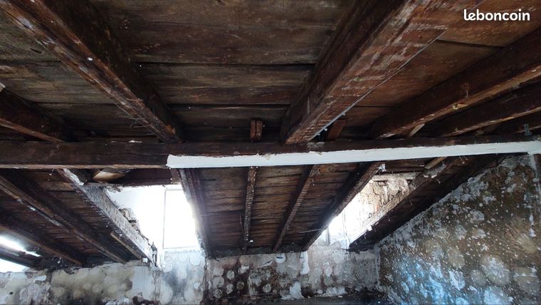 Donne bois de construction