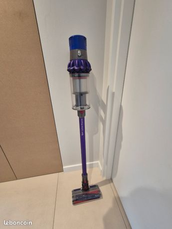 Dyson cyclone v10 animal