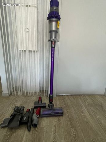 Dyson v10 animal