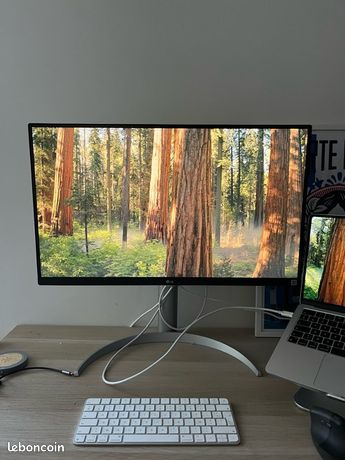Écran 4K LG 27UP85NP 27 USB-C parfait état télétravail