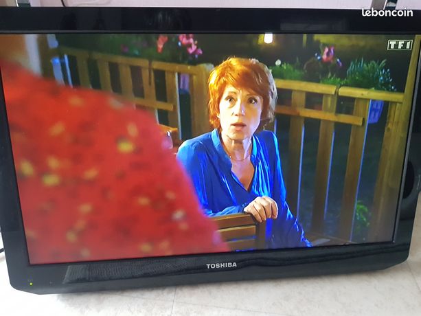 Ecran Toshiba 55 cm avec télécommande