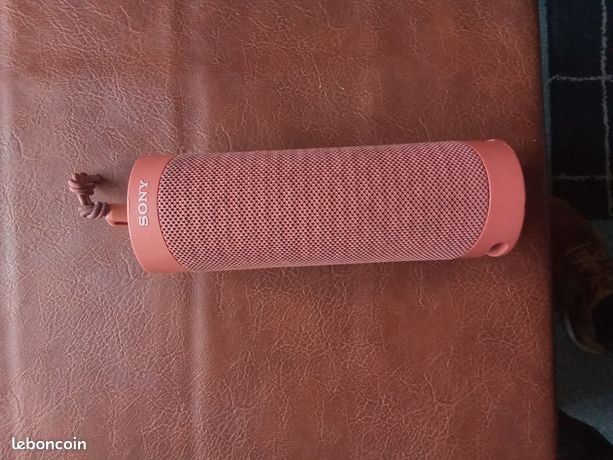 Enceinte bluetooth Sony