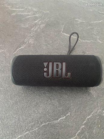 Enceinte JBL FliP 6