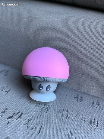 Enceinte mini champions