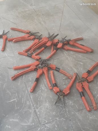 Épinette sécateur vendange