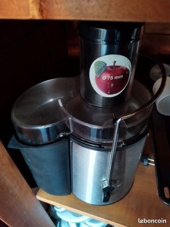 Extracteur de jus de fruit professionel