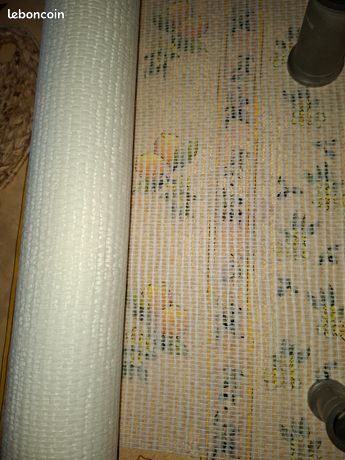 Fibre de verre à peindre