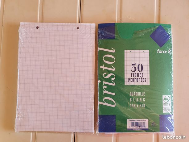 Fiches Bristol Petits Carreaux