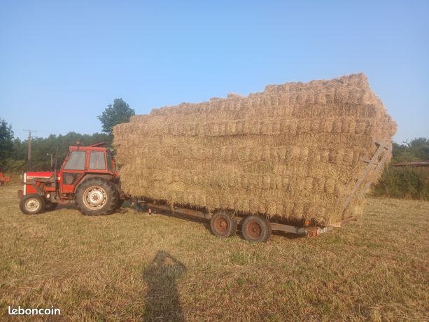 Foin en petite botte moyenne densité