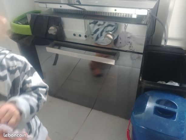 Four chaleur tournante et rottissoire