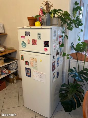 Frigo