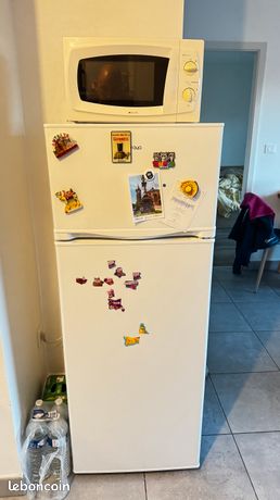 Frigo aya