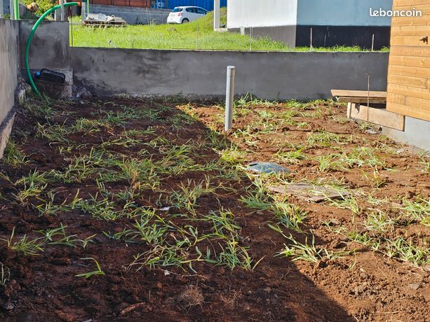 Gazon sur toute l'ile a très bon prix