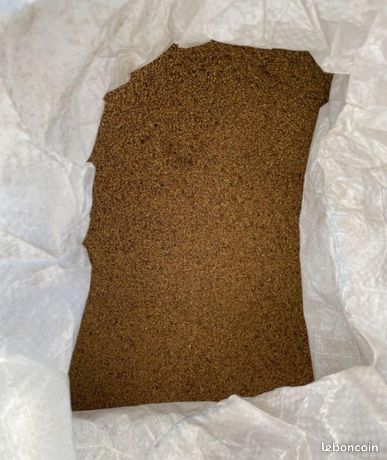 Graine de luzerne AB