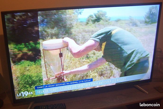 Grande TV LED grandin