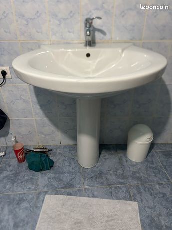 Grande Vasque + pied salle de bain