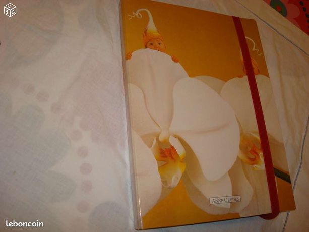 Grande pochette en carton ANNE GEDDES